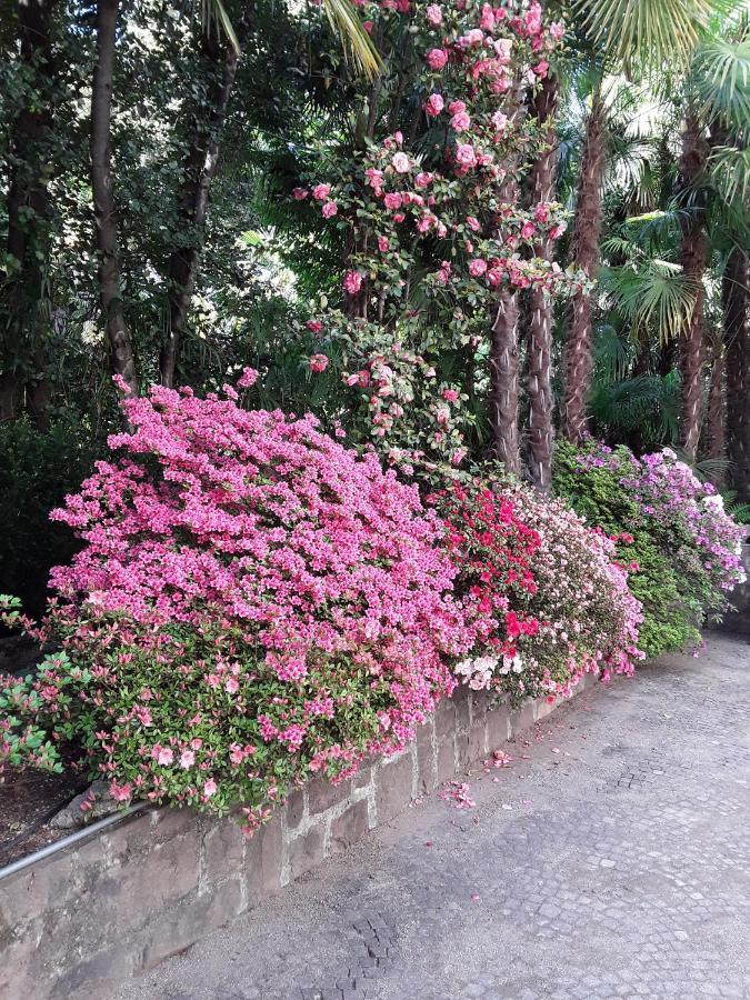 Villa Coris Ferienwohnung Magnolia Merano Exterior foto